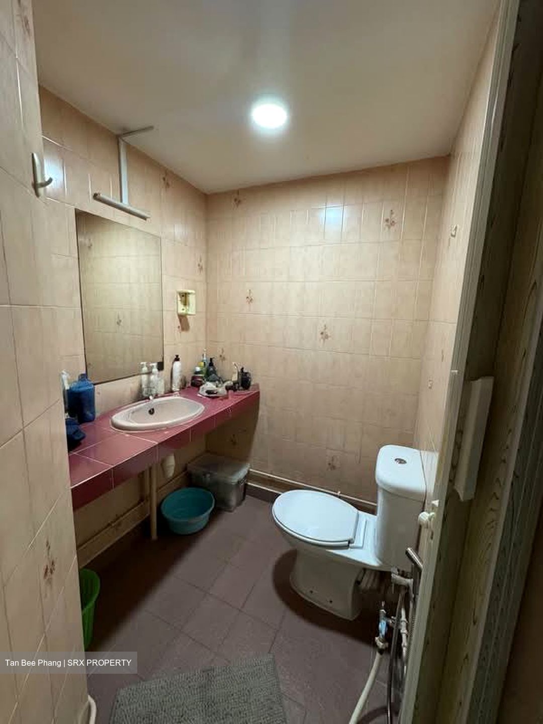 Novena Hill (D11), Apartment #557730121